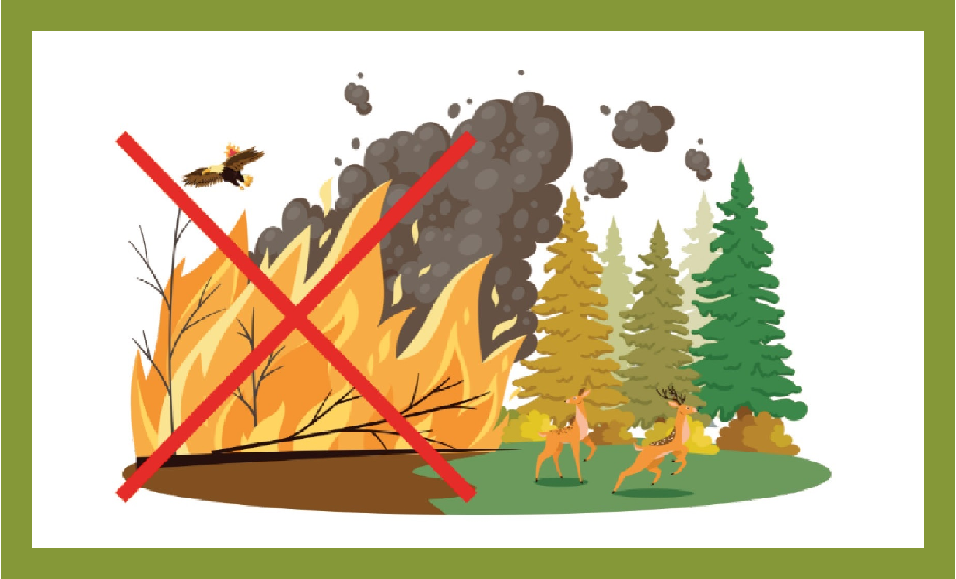 Prescrizioni regionali antincendi 2026
